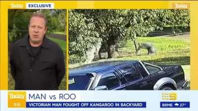 Man fights Kangaroo for 6 minutes to save dogs.