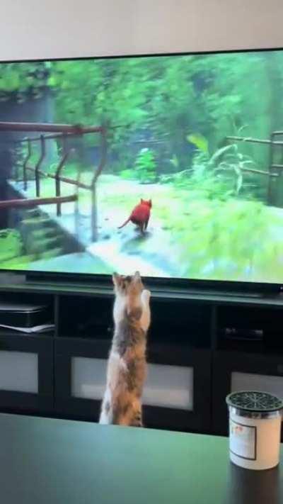 Player two has entered the game