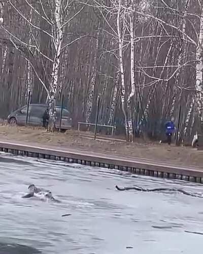 Passing students rescue dog from a frozen pond or something; I don't speak Russian.