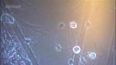 oh, cool, manmade horrors beyond my comprehension.