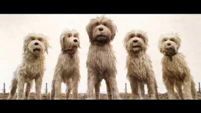 Astolfo is worth it, but RAINBOW