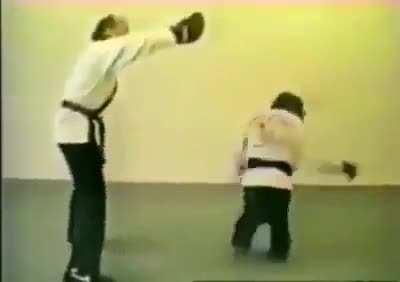 YOOOO the Gorillo Bandits are ACUTALLY training Gorillos to fight, WTF!!!