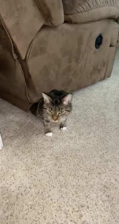 [OC] How is this even possible?