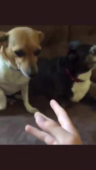 Randomly found on Twitter