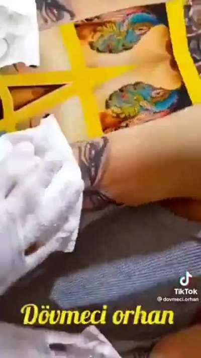 dovmeci orhan