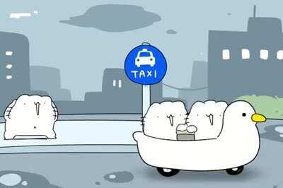 Трешовые котики