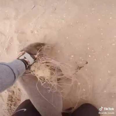 Le rob&oacute; el collar 😠🤬😤