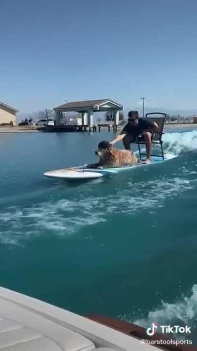 How I want to spend the rest of my days ♥︎