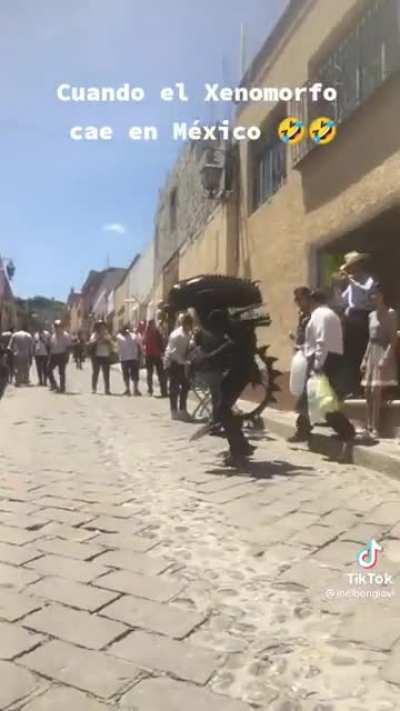 Cuando cae el xenomorph en Mexico