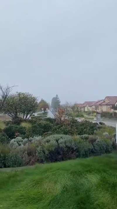 first real skids in the hatch