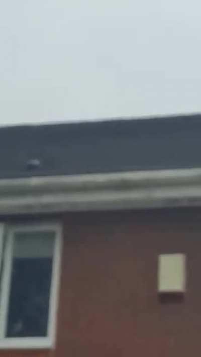 My dad watched a Military Chinook in Wales circle our village for a while (not on camera) and caught what he described as a saucer dissapear.