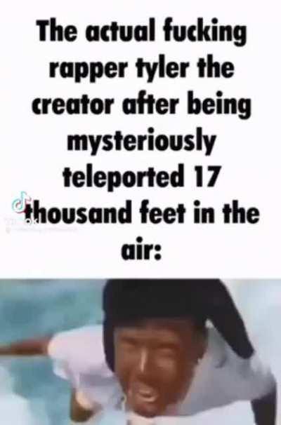 Tyler the creator after being teleported 5 km in the air