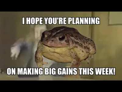 It's frog Friday boys !