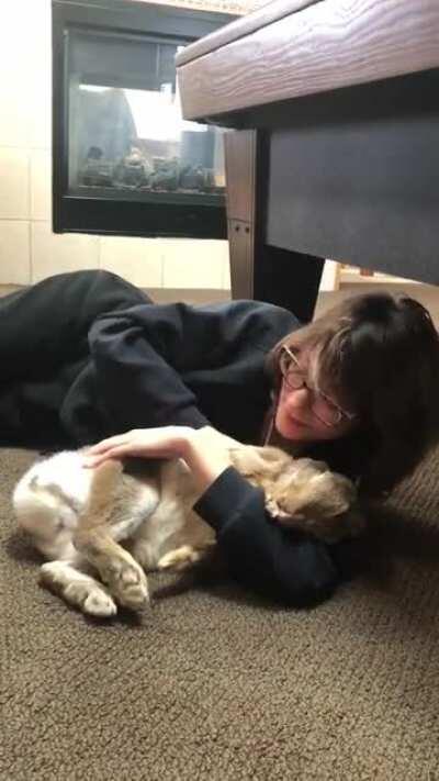 When she Flops into your arms!! Finally caught one on video