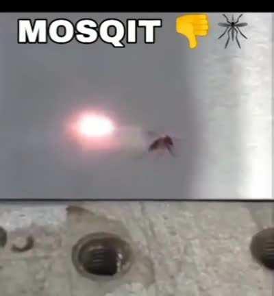 MOSQIT 👎🦟