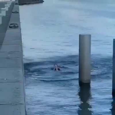 Misjudging final jump distance