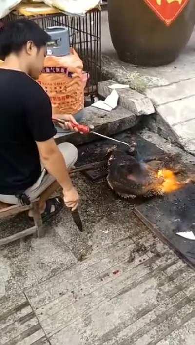 中国人的美食文化