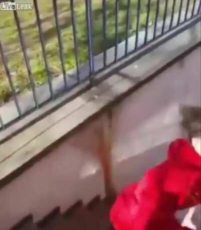 German apes hodling their shares like they do their beer