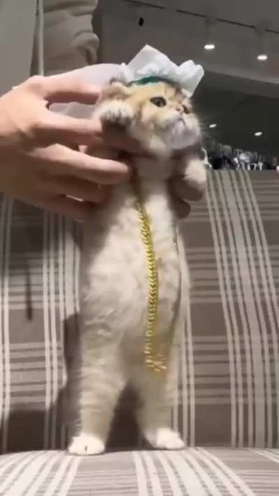 A small miracle in a big crown.