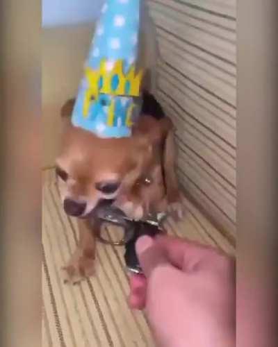 Putin really has a lot of power