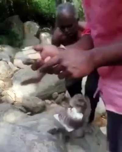 Cutting cake outdoors