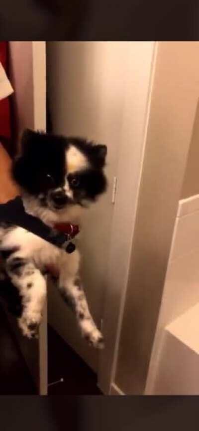 Throwback video of the goat. I’d take that job 🍑