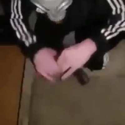 the Perfect Pet to have at home :)