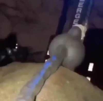 (it's not an actual rat so I'm not marking it nstw)