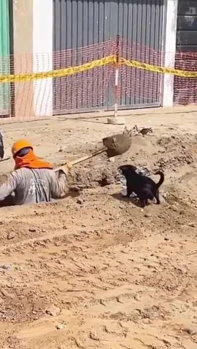 Arthur and Regis after they're done with Agrona and Kezess