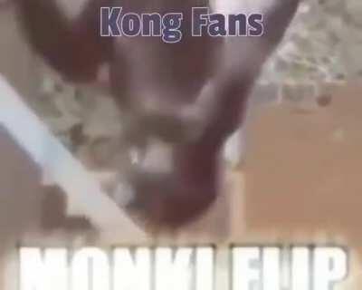 El viejas es team lagarto radiactivo este es tu ídolo?