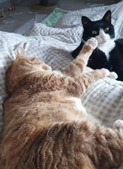Touch da tux