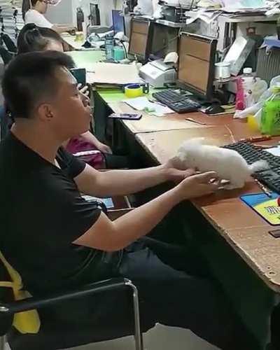 The most cutest howl you will hear today.