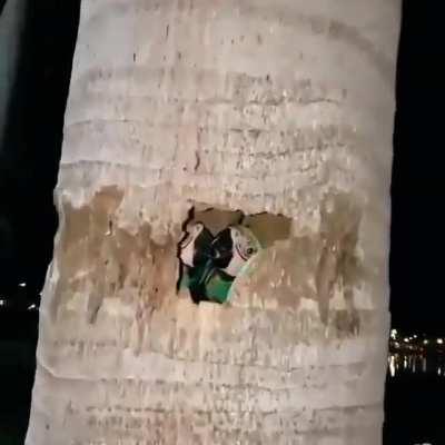 When you peek inside your friend’s shiftpod at 3 am