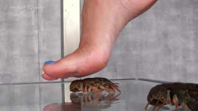 Who is your favorite model? (DM to trade!)