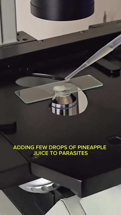 Pineapple Juice vs Parasites