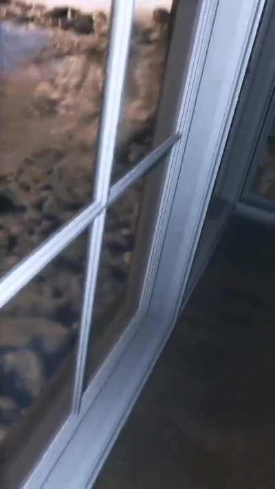 He knows if you’ve been naughty or nice. 