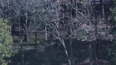 Yagami shoots Munakata