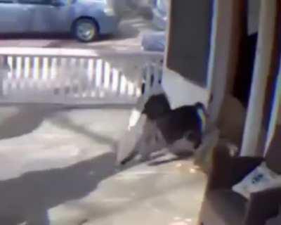 Always tip your Door Dash 