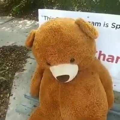 mr. grizzly found dead near a bus stop