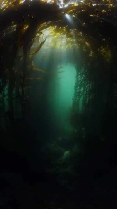 Best Beautiful Nature