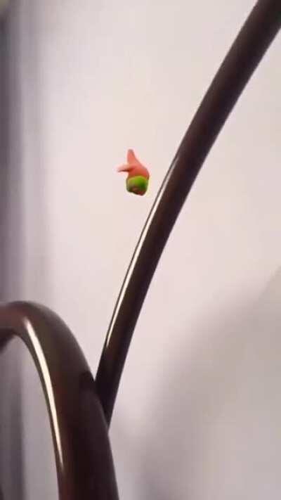 Change da world,my final message...goodbye