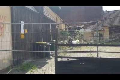 Das schreiende Haus in Vorfreude auf morgen