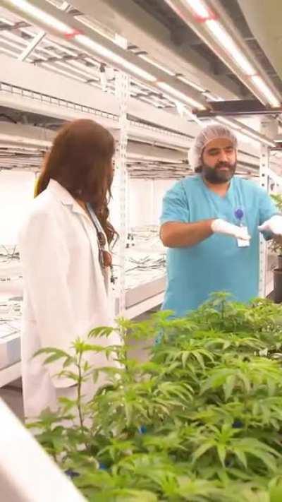 Mercedes Varnado / Sasha Banks behind the scenes visit at Cookies Florida before their grand opening 🌱