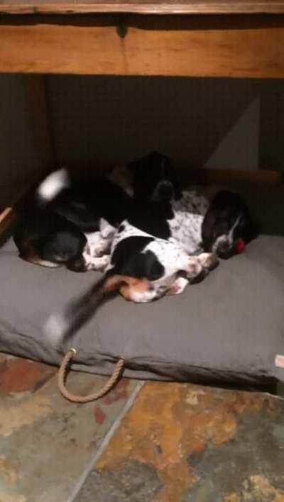 They've been practicing.