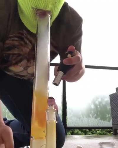 Breakfast of champions