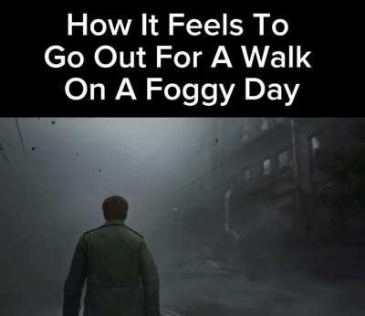 Feels like I’m on a search for my long dead wife