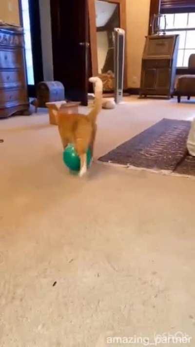 which one is the best 🤗