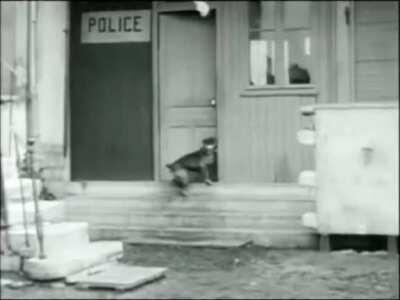 Pretty accurate allocation of resources, to this very day