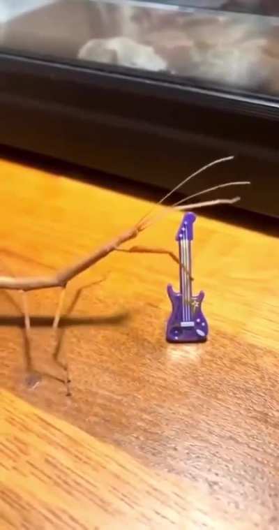 buge shreds the guitar
