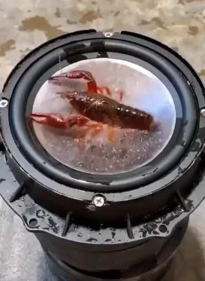 No tengo creatividad para poner un título interesante